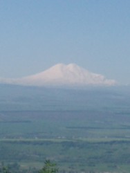 IMG_20220528_092620.jpg