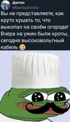 огород.jpg