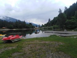 IMG_20220622_090515.jpg