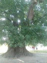 IMG_20220824_092812.jpg
