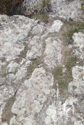 IMG_20220824_114124.jpg