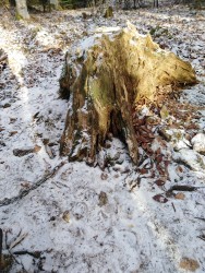 IMG_20230105_134535.jpg