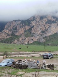 IMG_20230521_083518.jpg