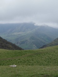 IMG_20230521_114007.jpg
