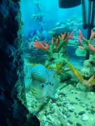 IMG_20240116_133733.jpg