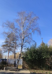 IMG_20240224_110928.jpg