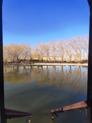 IMG_20240224_111256.jpg