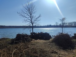 IMG_20240224_111733.jpg