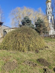 IMG_20240224_112612.jpg
