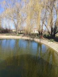 IMG_20240224_113206.jpg