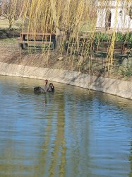 IMG_20240224_113211.jpg