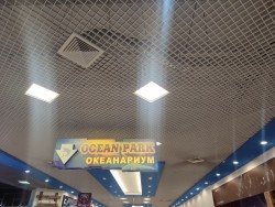 IMG_20240224_123442.jpg