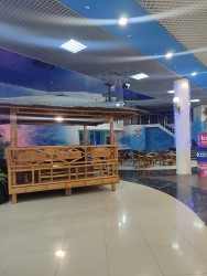 IMG_20240224_123450.jpg