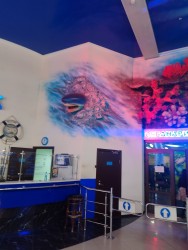 IMG_20240224_123550.jpg