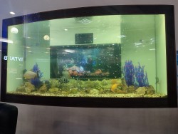 IMG_20240224_123825.jpg