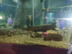 IMG_20240224_130840.jpg