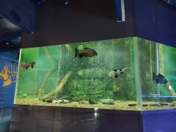 IMG_20240224_131300.jpg
