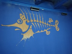IMG_20240224_131339.jpg