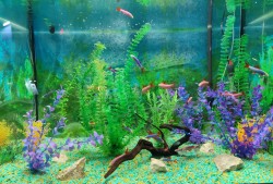IMG_20240224_131805.jpg