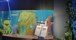 IMG_20240224_132335.jpg