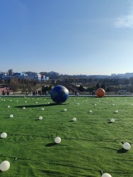 IMG_20240224_154837.jpg