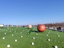 IMG_20240224_155045.jpg