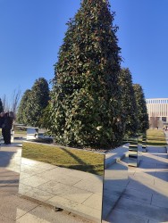 IMG_20240224_162234.jpg