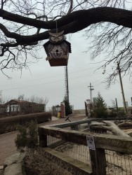 IMG_20240317_105338.jpg