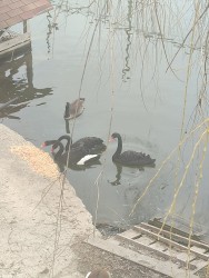 IMG_20240317_112439.jpg