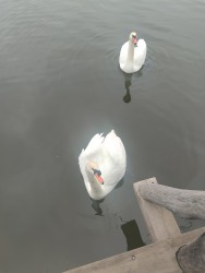 IMG_20240317_113149.jpg