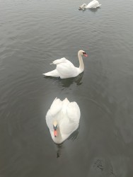 IMG_20240317_113554.jpg