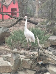 IMG_20240317_121848.jpg