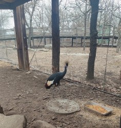 IMG_20240317_123304.jpg
