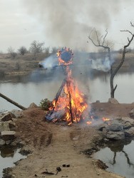 IMG_20240317_160531.jpg
