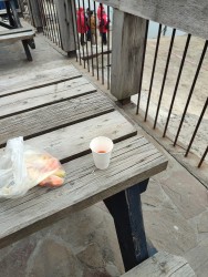IMG_20240317_162436.jpg