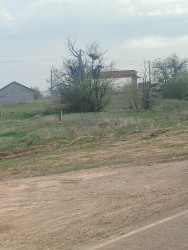 IMG_20240414_090409.jpg