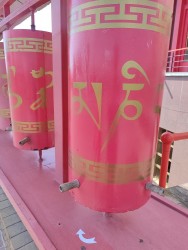 IMG_20240414_101813.jpg