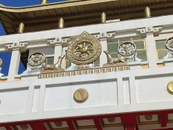 IMG_20240414_103657.jpg