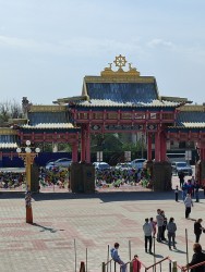 IMG_20240414_105037.jpg