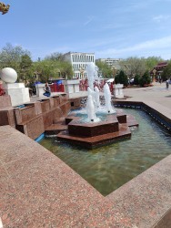 IMG_20240414_124131.jpg