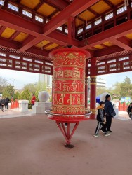 IMG_20240414_124206.jpg