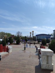 IMG_20240414_124308.jpg