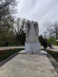 IMG_20240414_130037.jpg