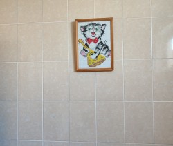 IMG_20240414_110012.jpg