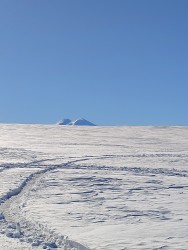 IMG_20241117_110209.jpg