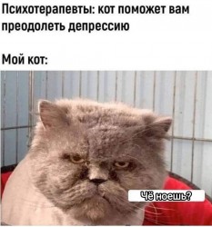 5325674471568304948.jpg