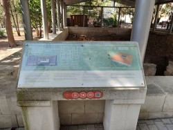 IMG_20240822_103807.jpg