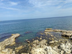 IMG_20240822_105615.jpg