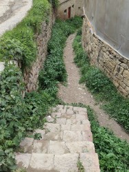 IMG_20240525_120525.jpg