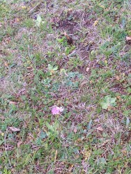 IMG_20240525_132912.jpg